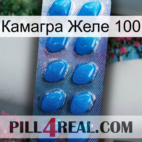 Камагра Желе 100 viagra1.jpg